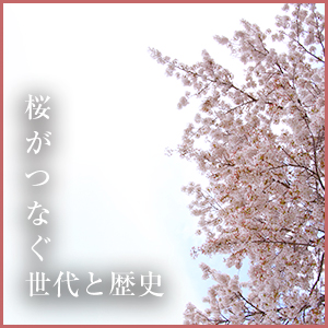 桜がつなぐ世代と歴史