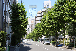 碁盤の目のような道路が美しく、意外にも緑が豊かなエリア。 碁盤の目のような道路が美しく、意外にも緑が豊かなエリア。