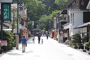 昔ながらの蕎麦屋や土産物屋が軒を連ねる、高尾山の参道