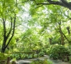 緑に囲まれ静かな時間が流れる御殿山庭園