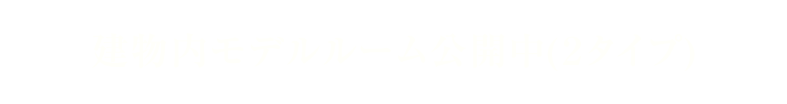 建物内モデルルーム公開中(2タイプ)