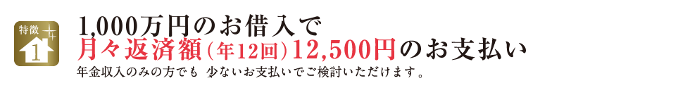 特徴1.1,000万円のお借入で月々返済額（年12回）12,500円のお支払い