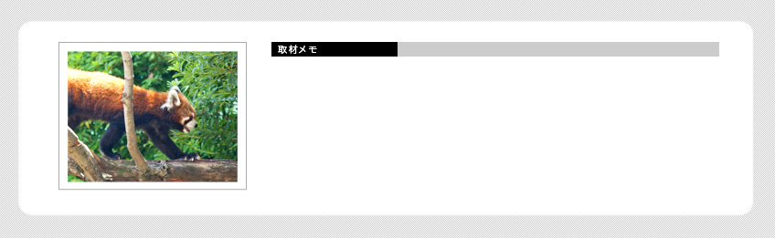 取材メモ