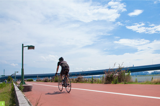 中川の堤防沿い