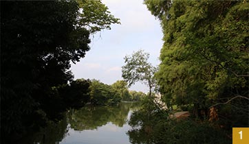 石神井公園の三宝寺池。野鳥の声が気持ちいい。
