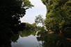 石神井公園の三宝寺池。野鳥の声が気持ちいい。