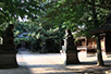 石神井氷川神社は「石神井のお氷川様」と親しまれる。