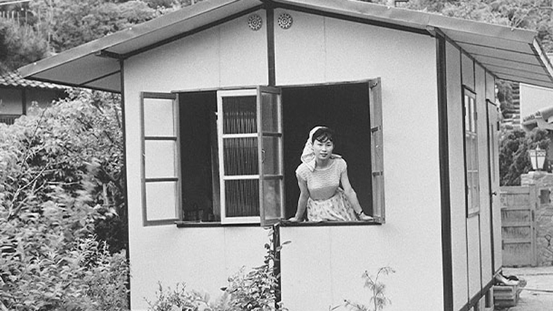 「ミゼットハウス」の外観