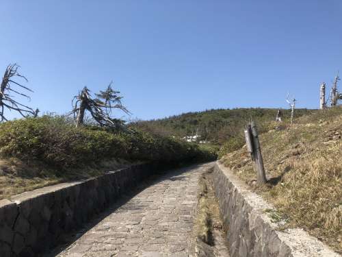 スタッフからの現地便り 19年05月30日 ロイヤルシティ八幡平リゾート 田舎暮らし 別荘 ダイワハウス