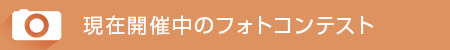 現在開催中のフォトコンテスト