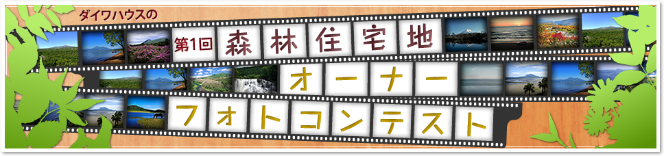 ダイワハウスの第1回森林住宅地オーナーフォトコンテスト