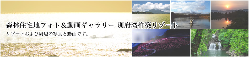 XяZntHg&M[@ʕ{pnz][g ][gюӂ̎ʐ^ƓłB