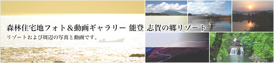 XяZntHg&M[ \o ű][g ][gюӂ̎ʐ^ƓłB