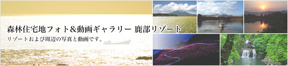 XяZntHg&M[ ][g ][gюӂ̎ʐ^ƓłB