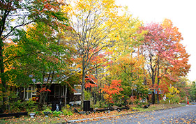秋の八幡平リゾート