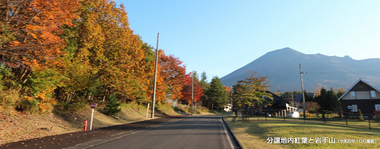 紅葉の綺麗な街並み（平成29年10月撮影）