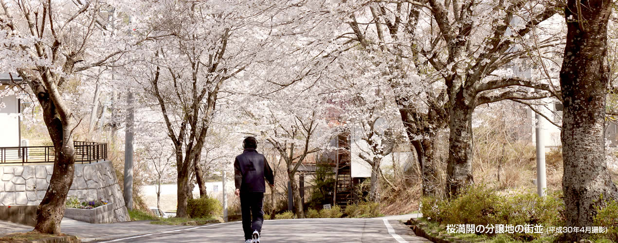 桜満開の分譲地の街並（平成30年4月撮影）