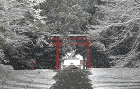 雪の霧島神宮