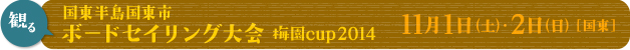 【観る】国東半島国東市 ボードセイリング大会 梅園cup2014　11月1日（土）・2日（日）[国東]