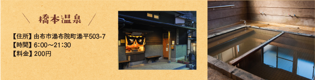 橋本温泉
