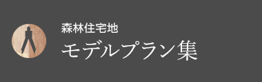 森林住宅地 モデルプラン集