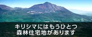 キリシマにはもうひとつ森林住宅地があります