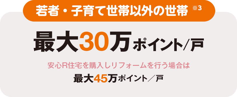 若者・子育て世帯以外の世帯※3 最大30万ポイント/戸 安心R住宅を購入しリフォームを行う場合は最大45万ポイント/戸