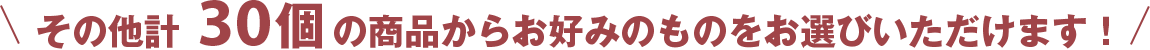 その他計30個の商品からお好みのものをお選びいただけます！