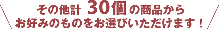 その他計30個の商品からお好みのものをお選びいただけます！