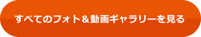すべてのフォト＆動画ギャラリーを見る