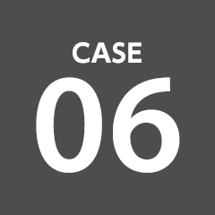 case06