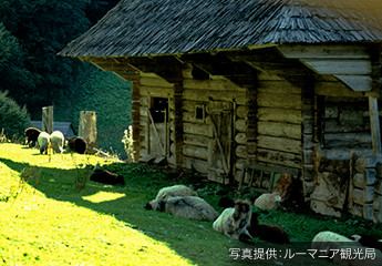 木造の家畜小屋
