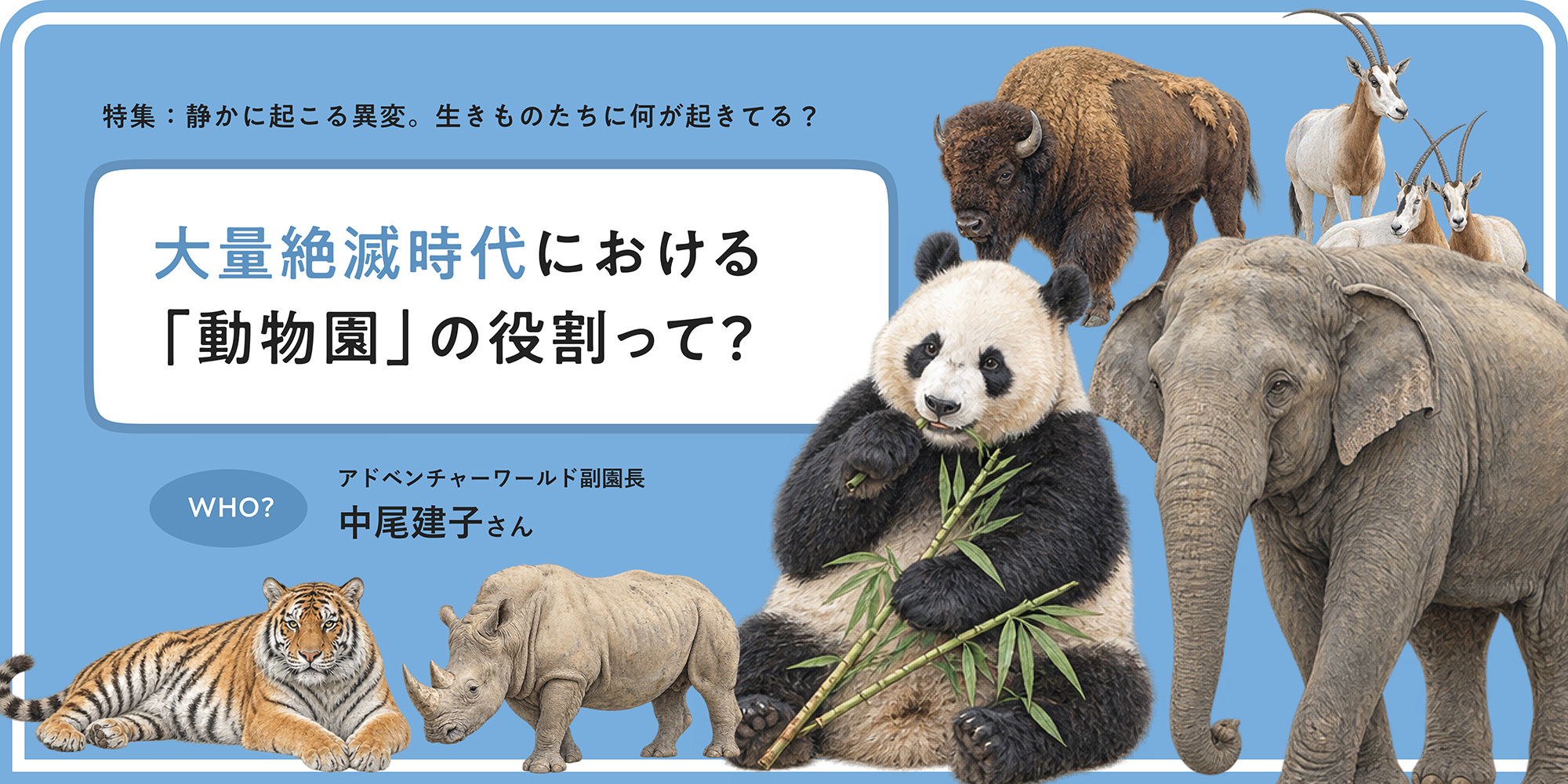 特集 静かに起こる異変。生きものたちに何が起きてる？ 大量絶滅時代における「動物園」の役割って？ アドベンチャーワールド副園長 中尾建子さん
