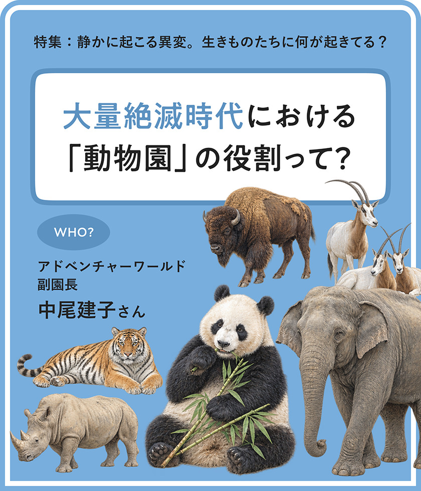特集 静かに起こる異変。生きものたちに何が起きてる？ 大量絶滅時代における「動物園」の役割って？ アドベンチャーワールド副園長 中尾建子さん