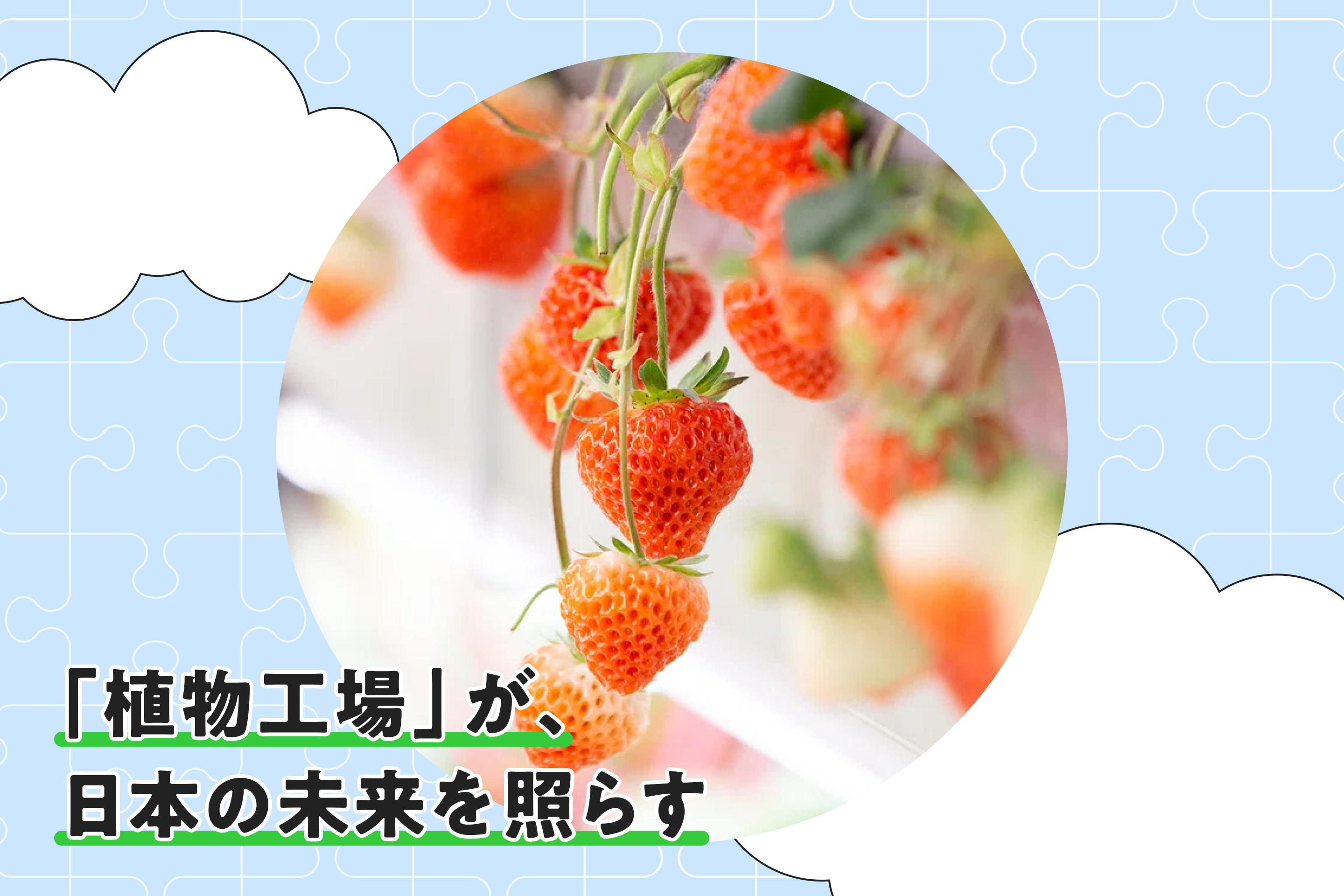 「植物工場」が、日本の未来を照らす