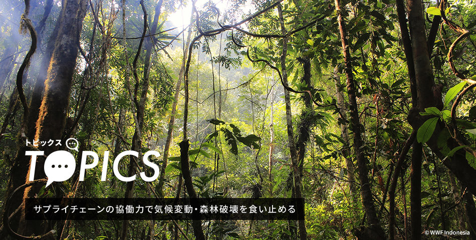 TOPICS サプライチェーンの協働力で気候変動・森林破壊を食い止める © WWF Indonesia