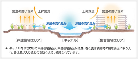 キャナルをはさむ形で戸建住宅街区と集合住宅街区が形成。春と夏は積極的に風を街区に取り入れ、冬は風が入り込むのを防ぐよう、植栽されています。