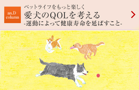 an.D Column：ペットライフをもっと楽しく 愛犬のQOLを考える-運動によって健康寿命を延ばすこと-