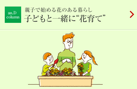 n.D column：親子で始める花のある暮らし 子どもと一緒に“花育て”