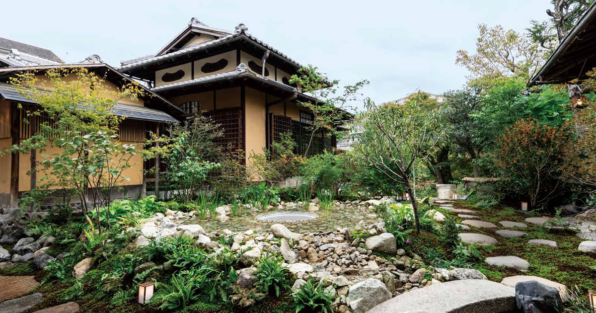 観音寺 横長の木 門かぶり 横長 大きい ウバメガシ？ 庭木 和風庭園 造園 玄関に 2本セット1本は短い 自然の日よけに fb.jpg