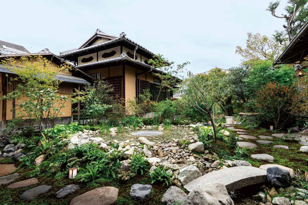 特集 植彌加藤造園(うえやかとうぞうえん)苔むす刻 紡ぐ景色｜and.y