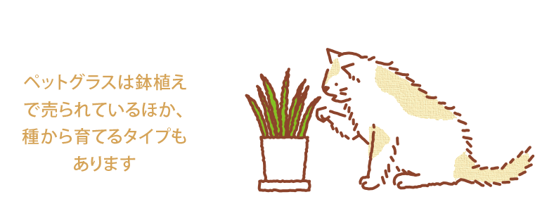 An D Column ペット入門 初めて猫を飼う人のための心得あれこれ An D Vol 76 My House Palette マイハウスパレット ダイワハウス