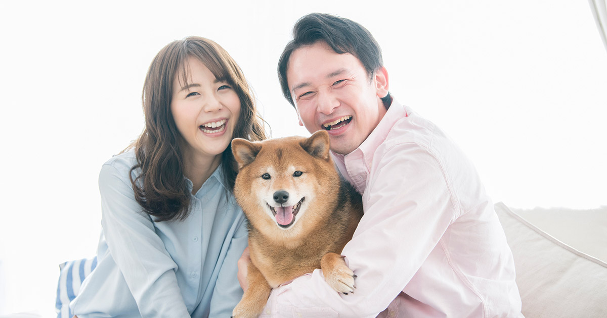 大切な家族の一員だから ペットと防災についてきちんと考えよう 計画を立てる My House Palette マイハウスパレット ダイワハウス 大切な家族の一員だから ペットと防災についてきちんと考えよう 計画を立てる My House Palette マイハウスパレット ダイワハウス