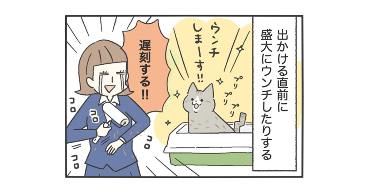 卵山玉子先生が描く、猫の“トイレあるある”マンガ！＆猫との暮らし