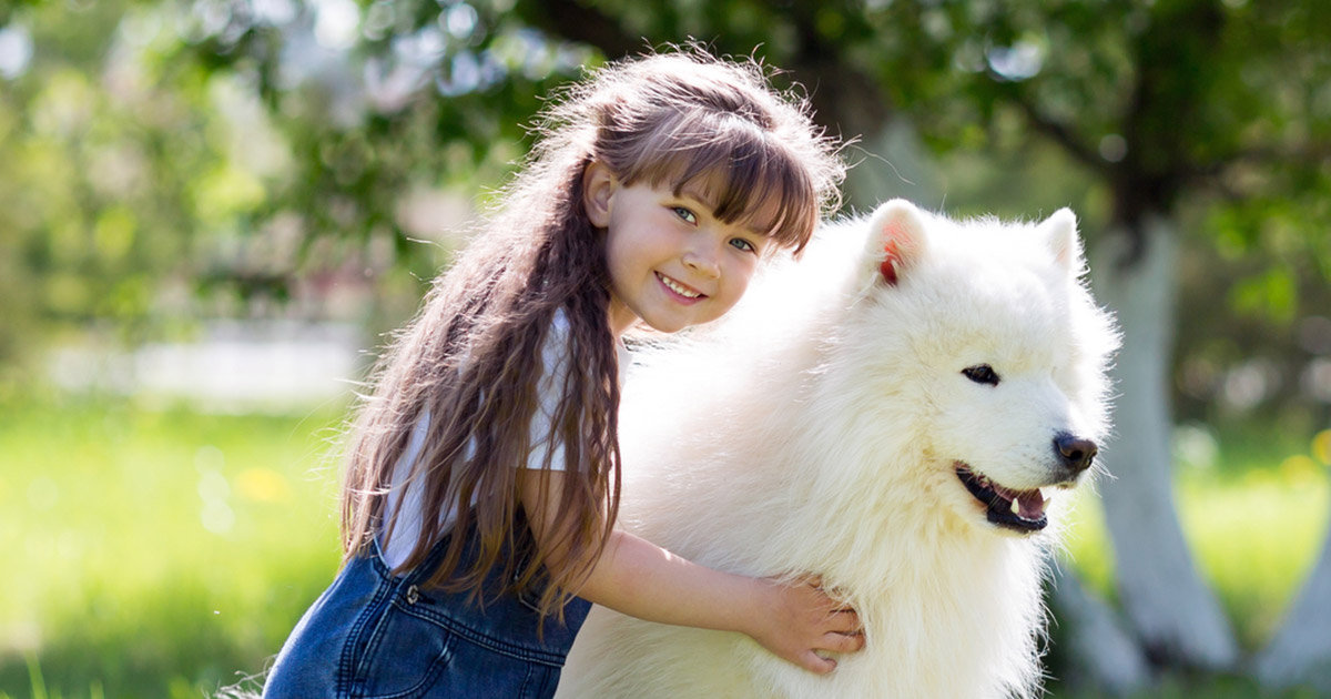 大きなお家で大きな犬を飼おう 飼いやすい大型犬 超大型犬 生活を考える Try家guide トライエガイド ダイワハウス