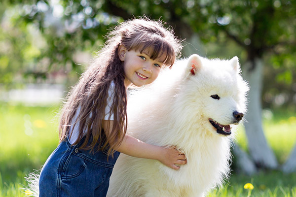 大きなお家で大きな犬を飼おう 飼いやすい大型犬 超大型犬 生活を考える Try家guide トライエガイド ダイワハウス