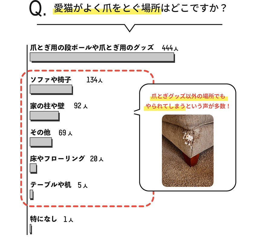 名もなきペット家事 ねこ編 Vol 1 なんとかしたい爪とぎの悩み グッズを使ってくれない時の対処法は アンケート結果も発表 生活を考える My House Palette マイハウスパレット ダイワハウス