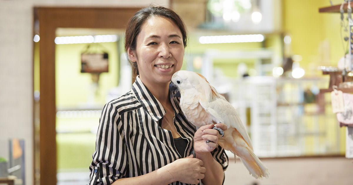 今 注目のペット フクロウ インコ オウム 大きめサイズの鳥と楽しく暮らす 生活を考える Try家guide トライエガイド ダイワハウス