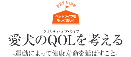 [ペットライフをもっと楽しく]愛犬のQOL(クオリティ・オブ・ライフ)を考える -運動によって健康寿命を延ばすこと-