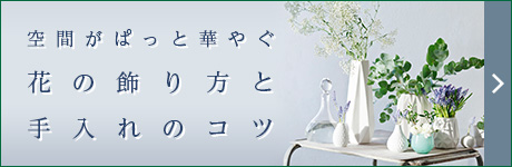 空間がぱっと華やぎ　花の飾り方と手入れのコツ